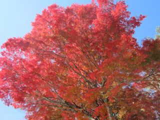 IMG_0843.jpg