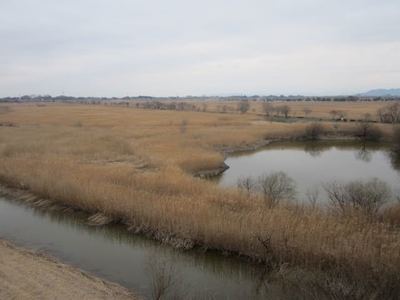 IMG_2714.jpg