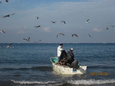 IMG_0933.jpg